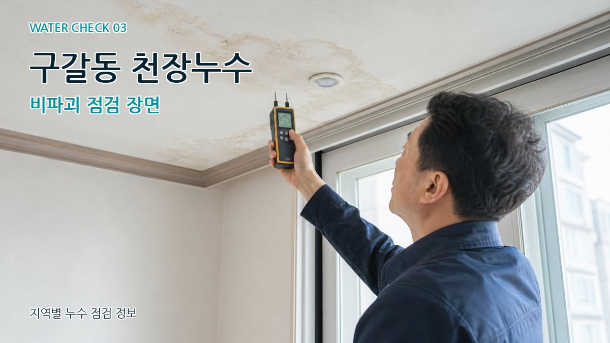 구갈동 천장누수 비파괴 점검 장면