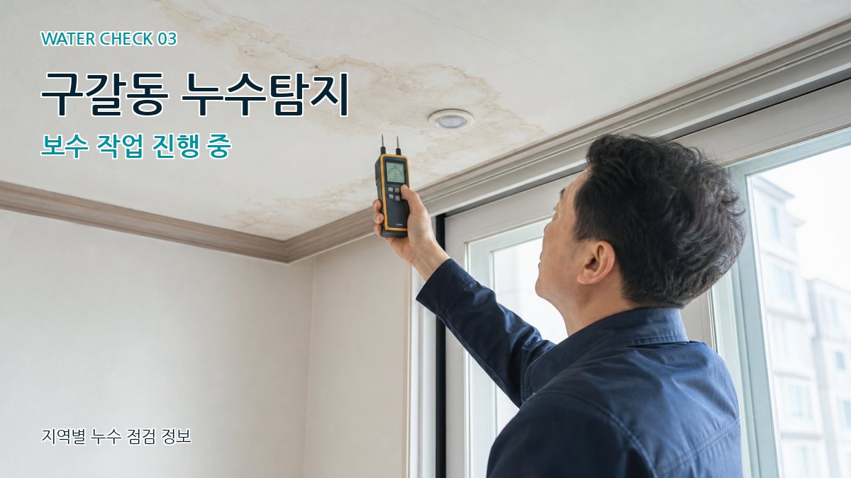 구갈동 천장누수 누수탐지 이미지